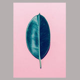 Amber Canvas - Urbbans