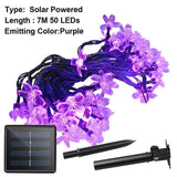 Floral Light - Urbbans