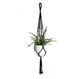 Konal Plant Hanger - Urbbans