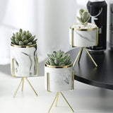 Nordic Plant Pot - Urbbans