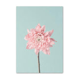 Blossom Canvas - Urbbans