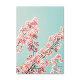 Blossom Canvas - Urbbans